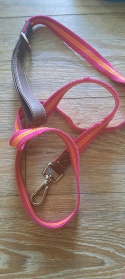 Medium Dog Harness & Leash
