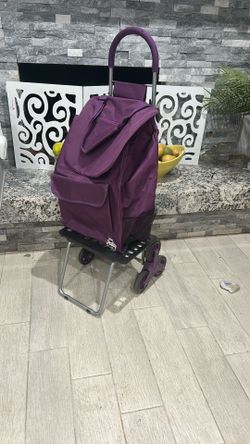 Shopping Folding Trolly 