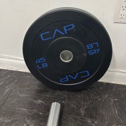 29mm 45lbs Plate (set Of 2)