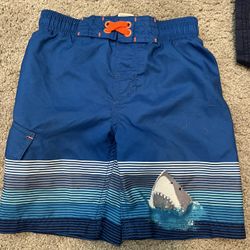 Boys Swim Trunks