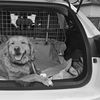 Ashley