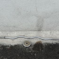 Curl bar and one weight plate