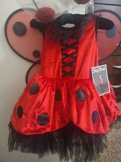 Ladybug Costume Size 5 