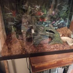 Aquarium / 10 Gallon Fish/ or Reptile Tank