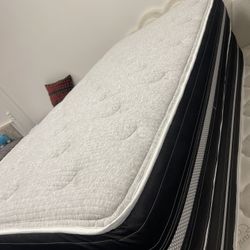 Twin Mattress 