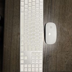 Magic Keyboard And Mouse