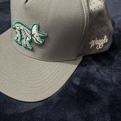 Waggle hats. Dino skeleton… 3x33 or $14ea