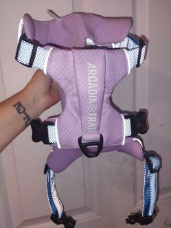 Md dog harness