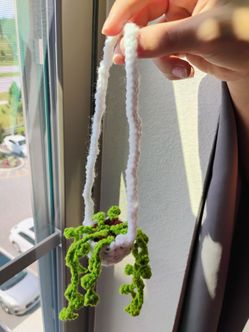 Crochet Car Plant