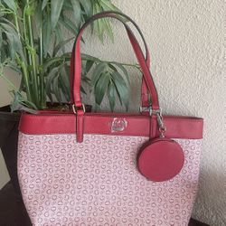 Bolsas Nueva 