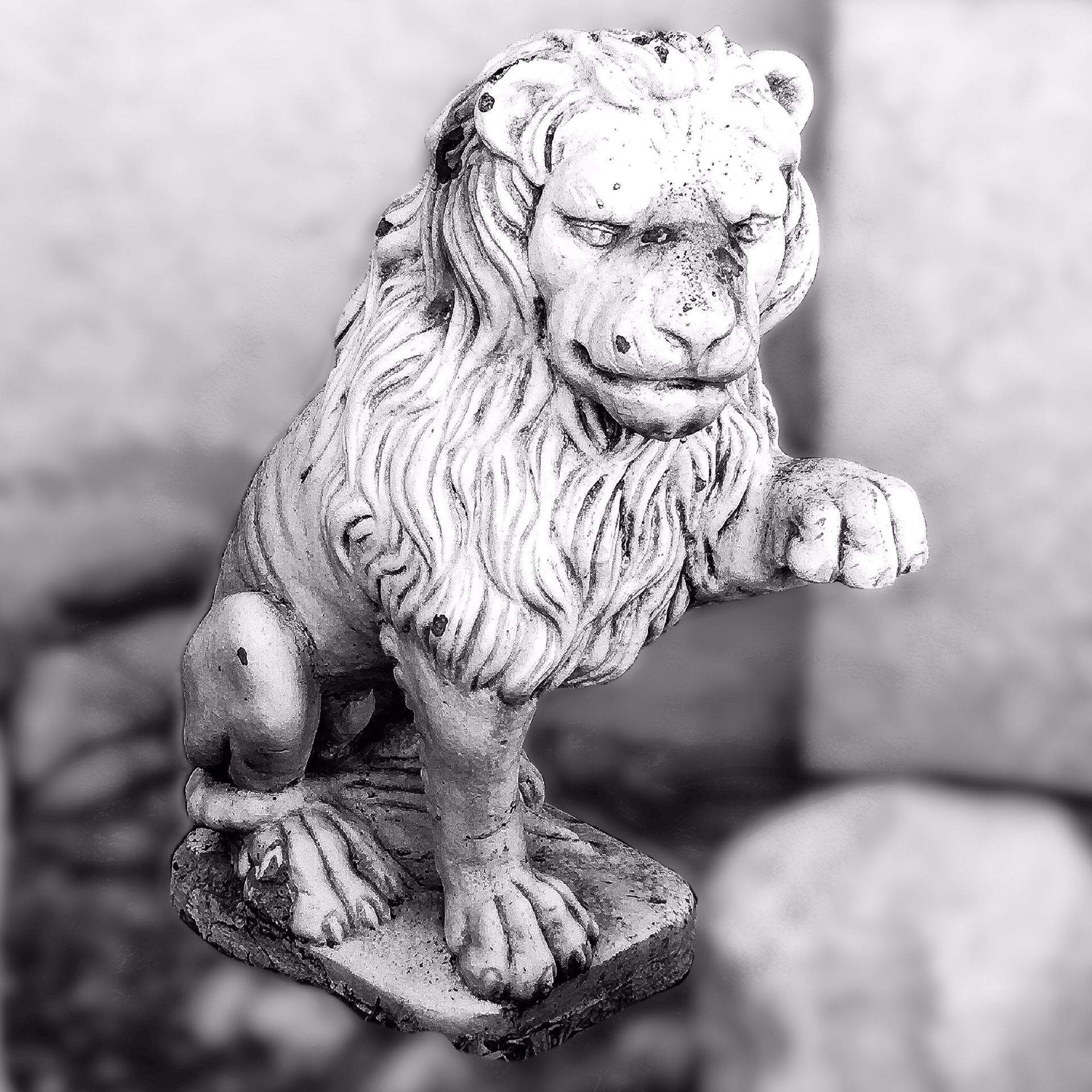 Vintage Rustic Garden Concrete Lion Statue (only 1) “His left side paw up”
