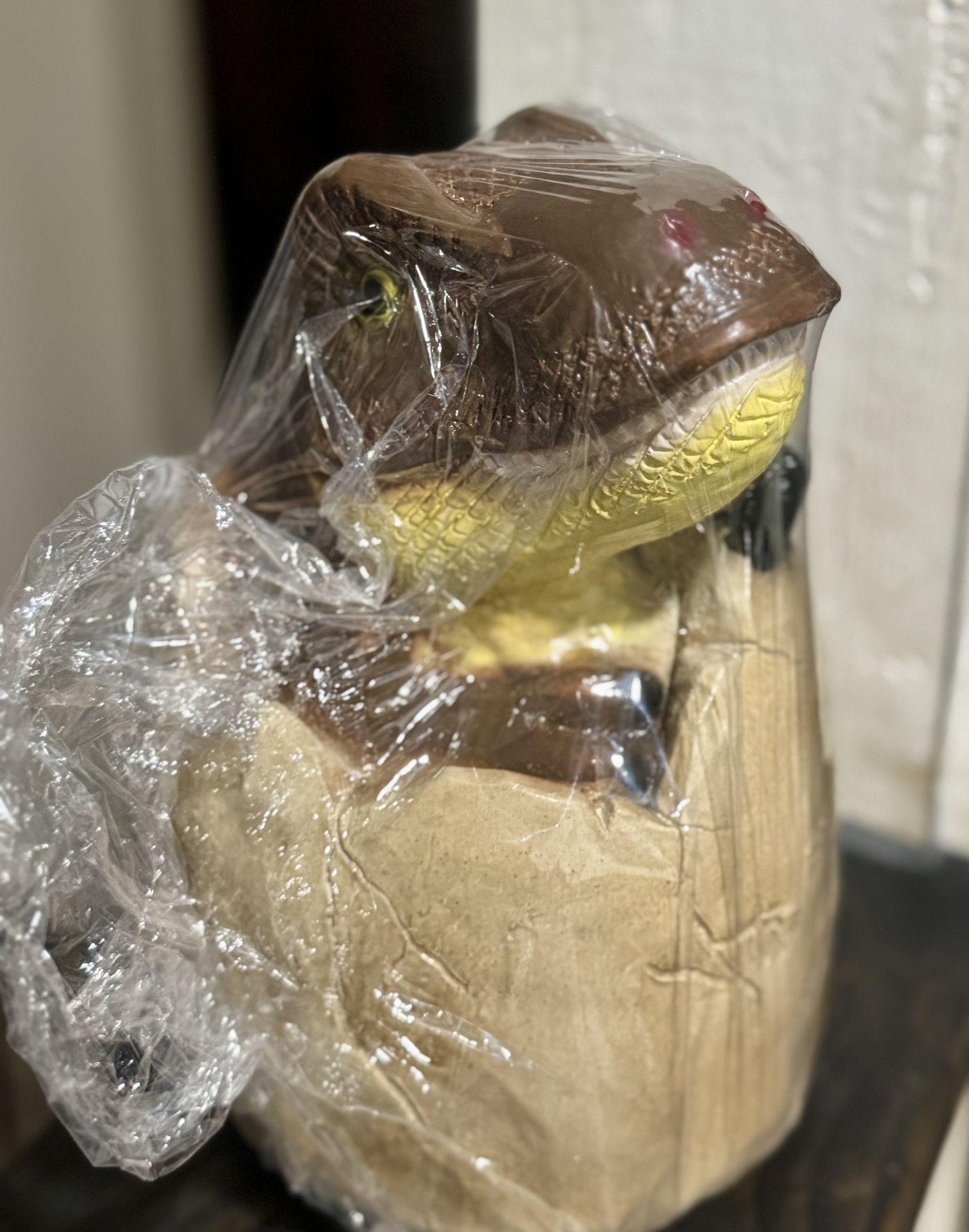 Dinosaur Piggy Banks Made In Mexic0 $10 Each