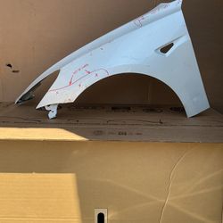 2017 - 2022 TESLA MODEL 3 Driver Side Fender OEM