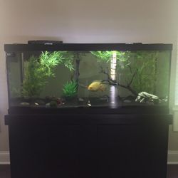 75 Gallon Fish tank stand and accessories good condition 