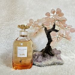 Coach Dreams Sunset EDP