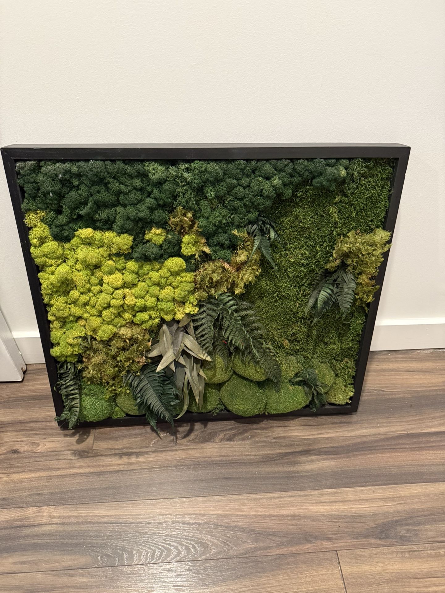 Moss Wall Art