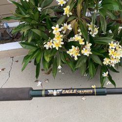 Fishing Gear Fenwick Eagle Graphite Rod