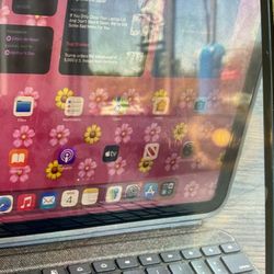 IPAD PINK