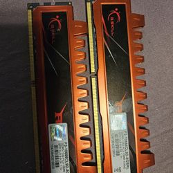 G.Skill 12GB RAM (3x4GB) PC3-10666 DDR3-1333 GAMING SDRAM F3-10666CL9T-12GBRL 2x