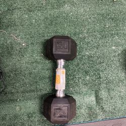 15LB Dumbbell Single 