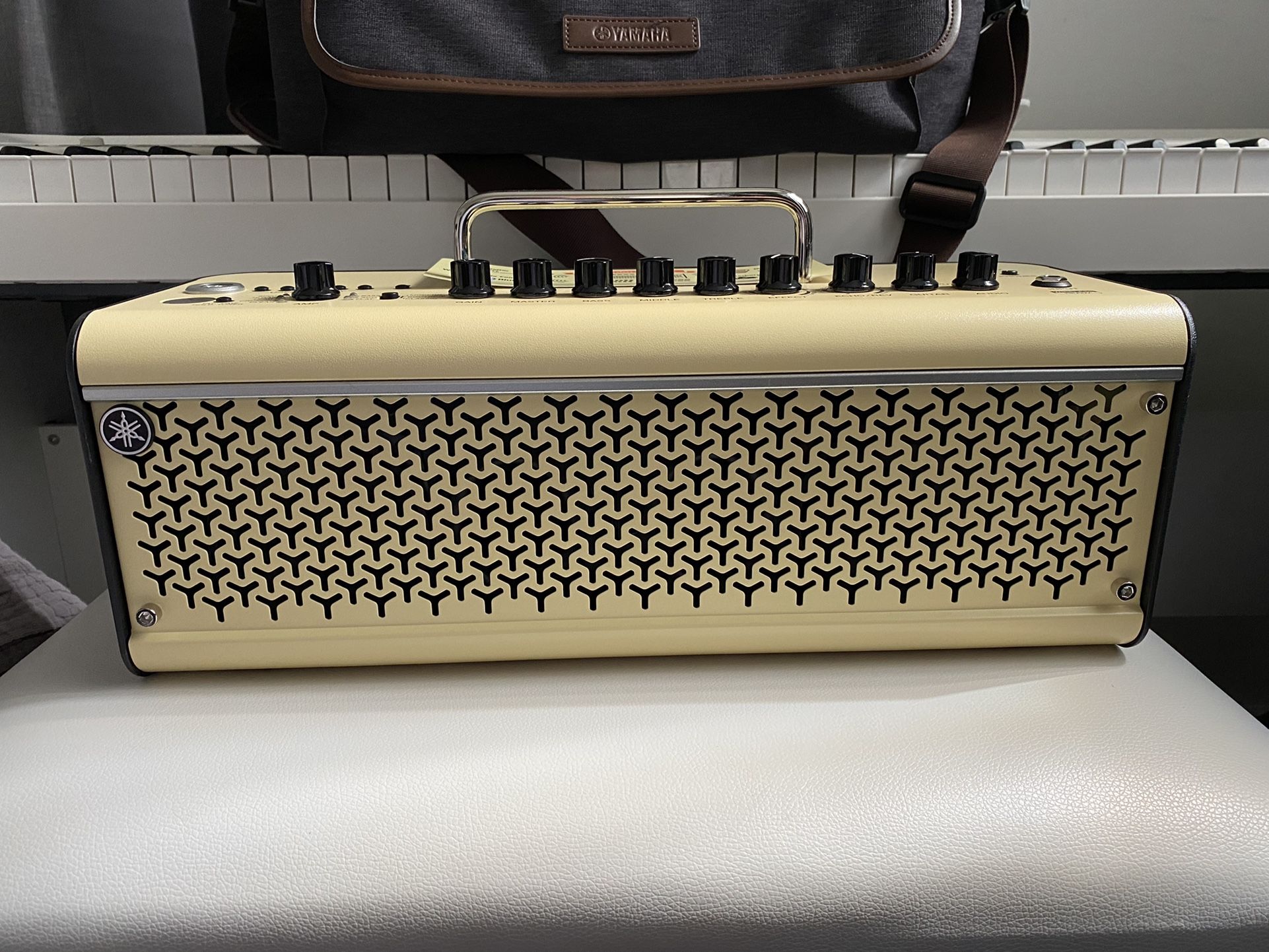 Yamaha THR300ii Wireless With Line 6 Relay GT10ii