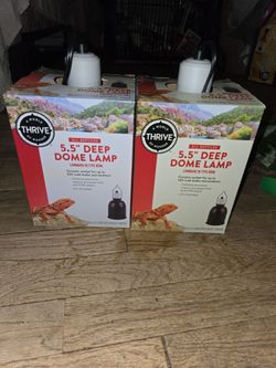 Tropical reptile supplies
