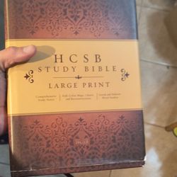HCSB Study Bible Large Print