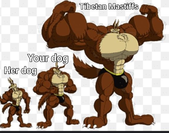 Large Dog Breed, Signs