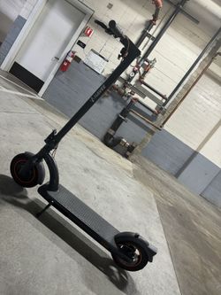 Scooter Electric