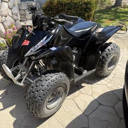 06 Honda Trx 90