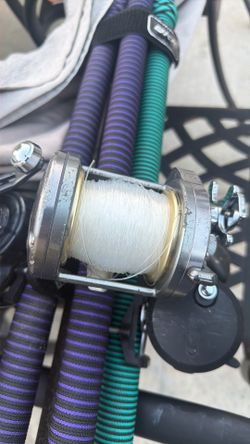 Shimano torium 30 (reel only)