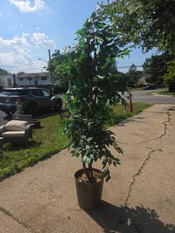 Price is firm.. beautiful large 7 ft fake house tree