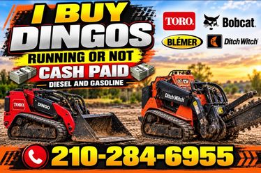 I buy dingoes