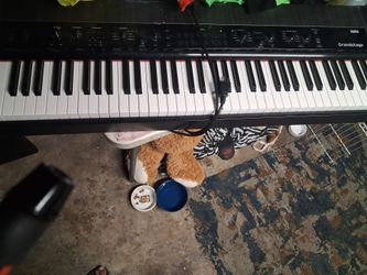 Korg