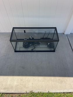 20 gallon tank