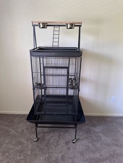 Bird Cage