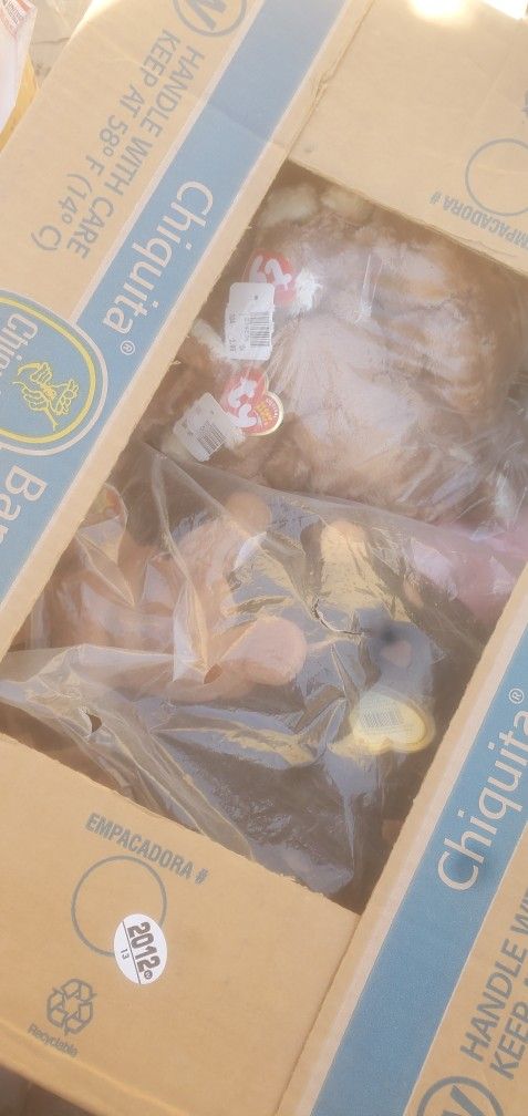 Bennie Babies 5000 Plus All Diffrent