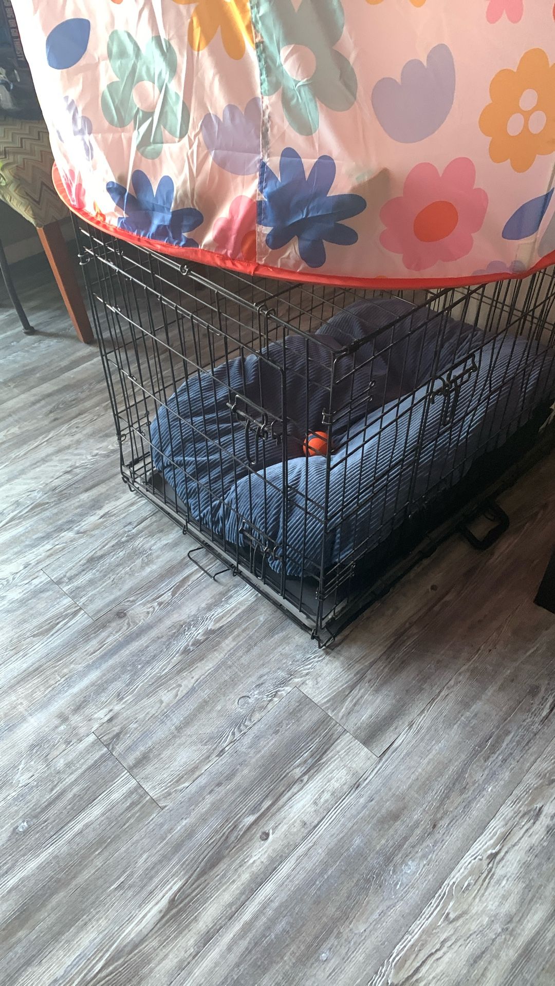 Dog Kennel 46 1/2 Inches Long 33 Inches Wide 35 Inches Length Down