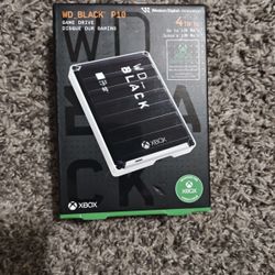 Xbox (4TB) Portable Storage 