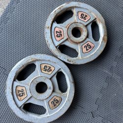 25lbs Weights Plates Pair Set