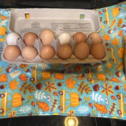 Free Range Chicken Eggs
