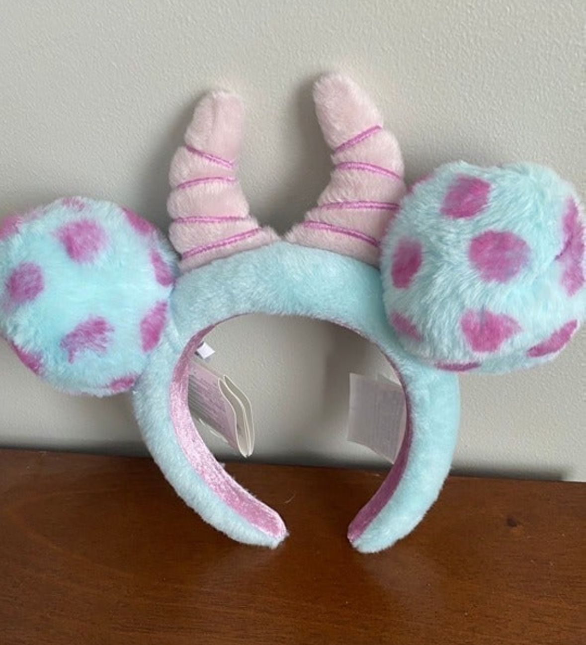 Sully Disney Ears