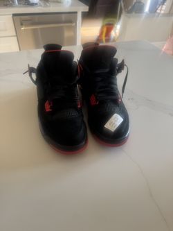 Raptor Air Jordan 4s – Rare Colorway / Excellent Condition