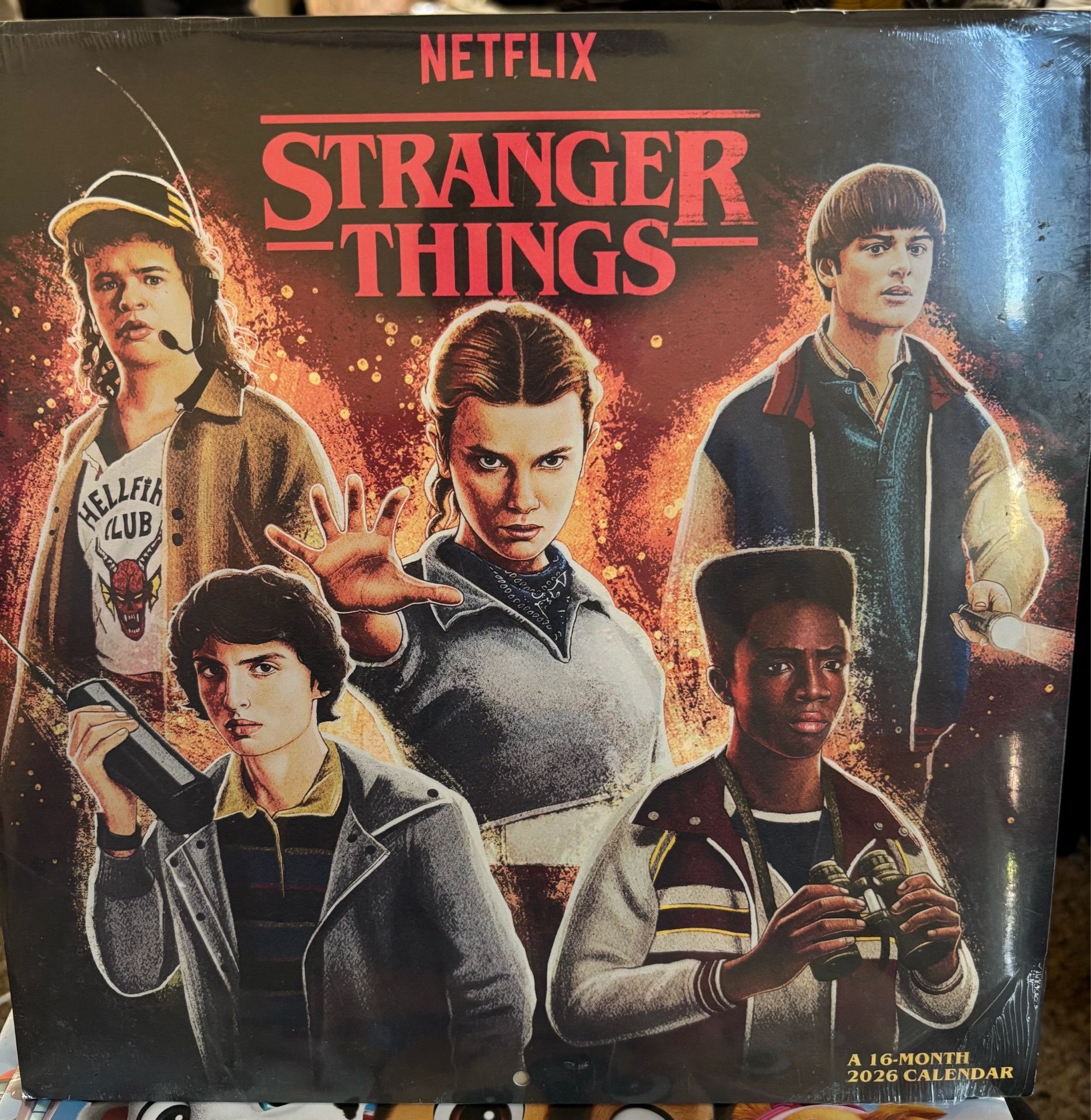 New, Sealed “ Stranger Things “ 16 month Calendar