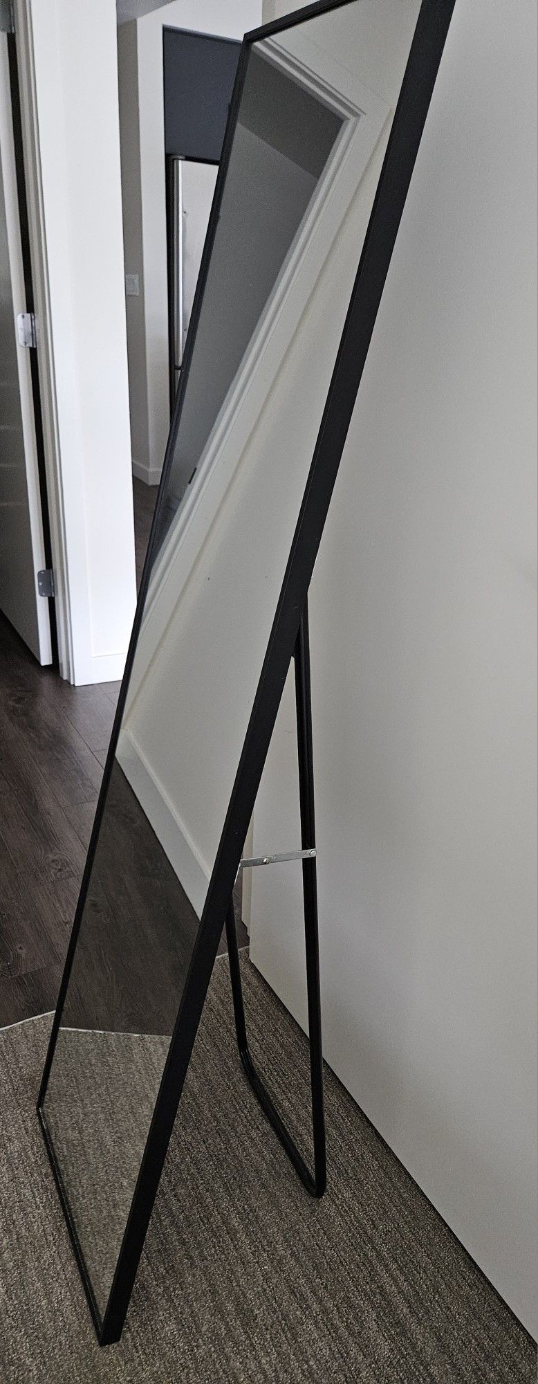 Full Length Standing Floor Mirror 16x59 Inch