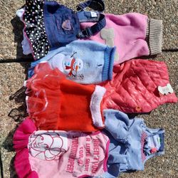 7 Small Dog Outfits
