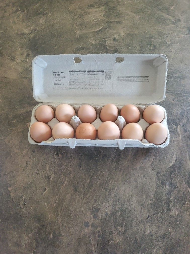 FRESH BROWN FARM EGGS