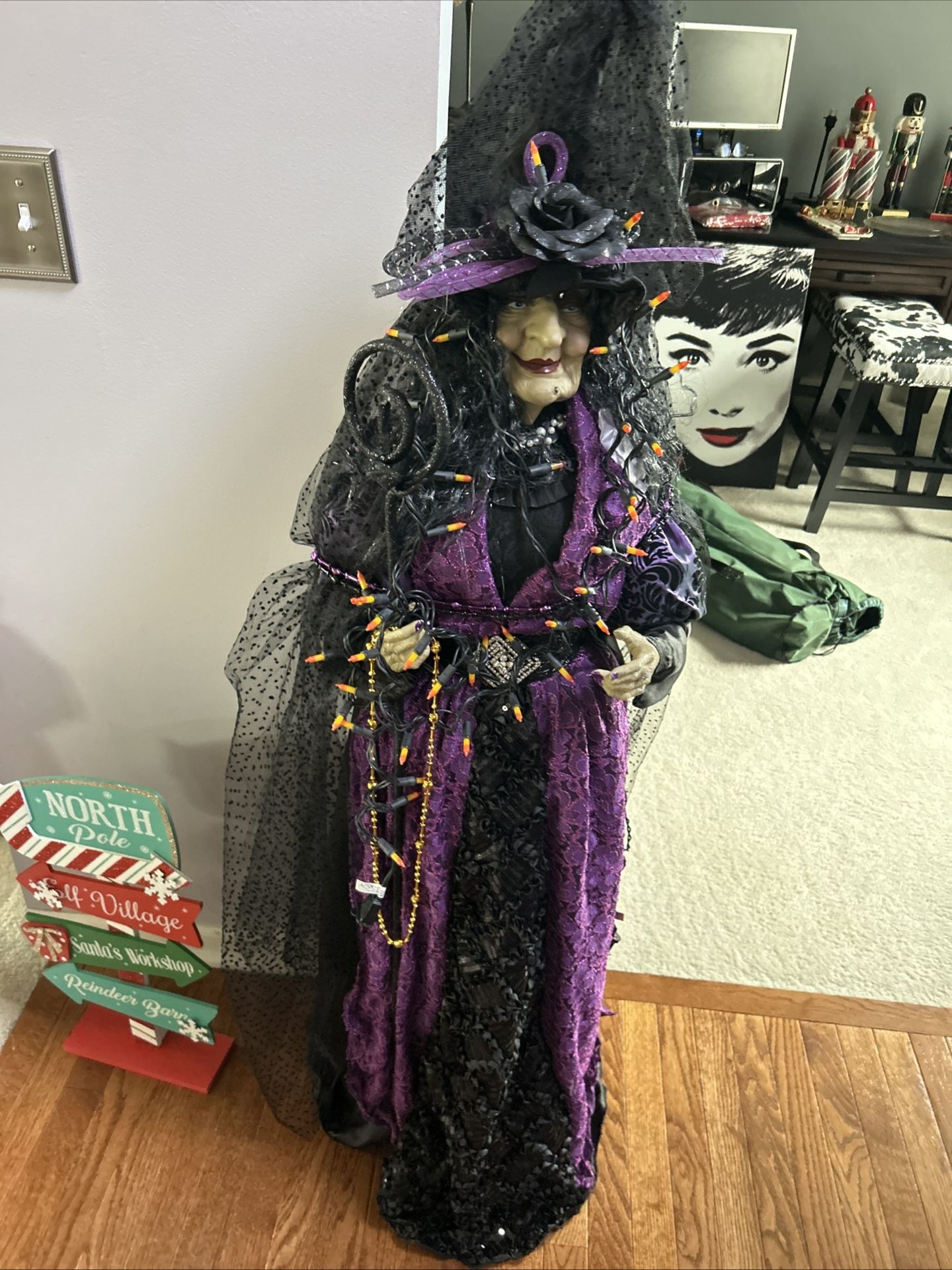 Reduced Price Halloween Witch With Light