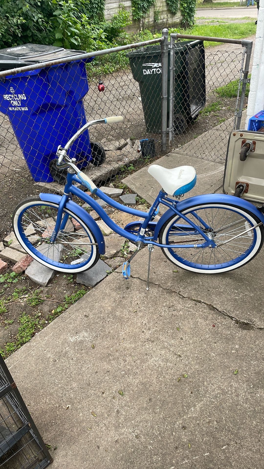 Cranbrook Cruiser