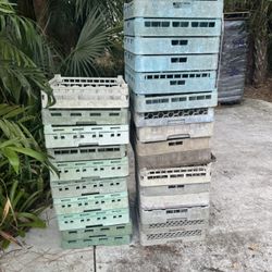 Dish Racks